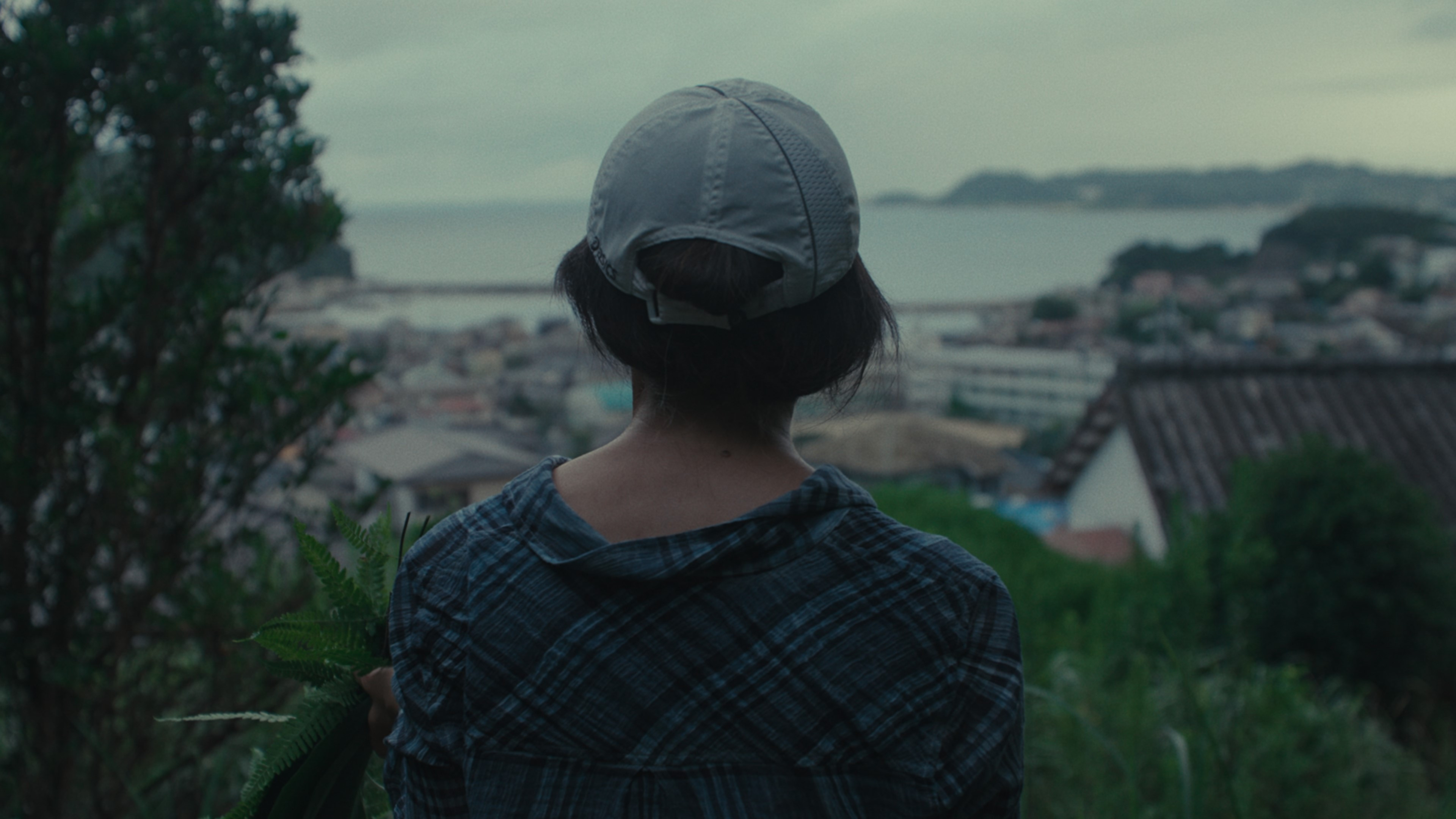 Okurimono Background