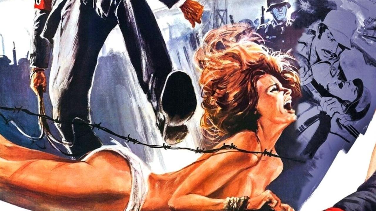 Achtung! The Desert Tigers Background