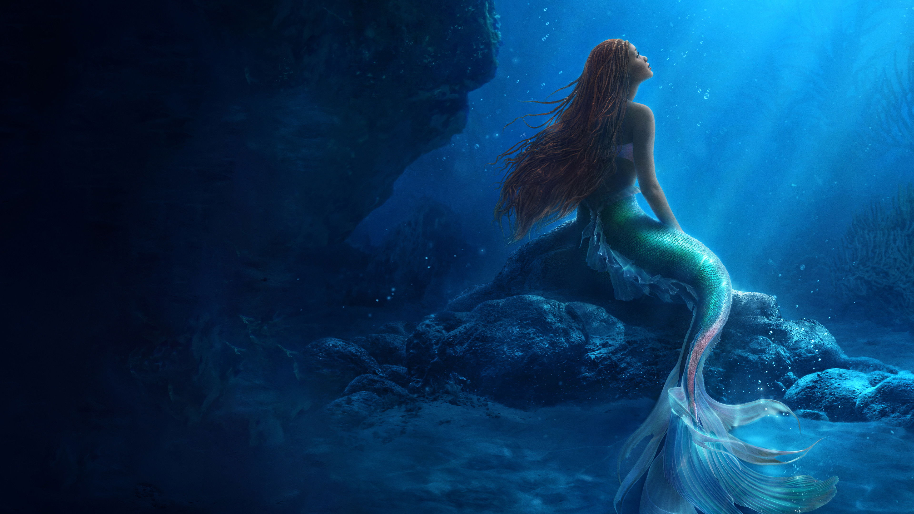 The Little Mermaid Background