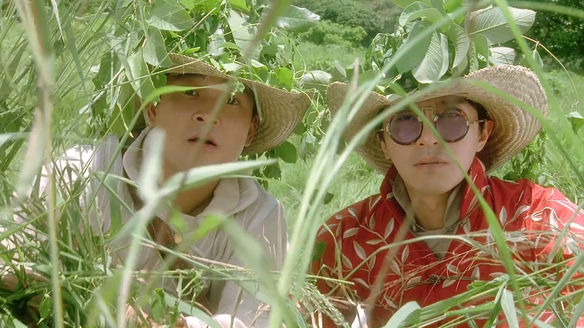 Lawyer Lawyer Background