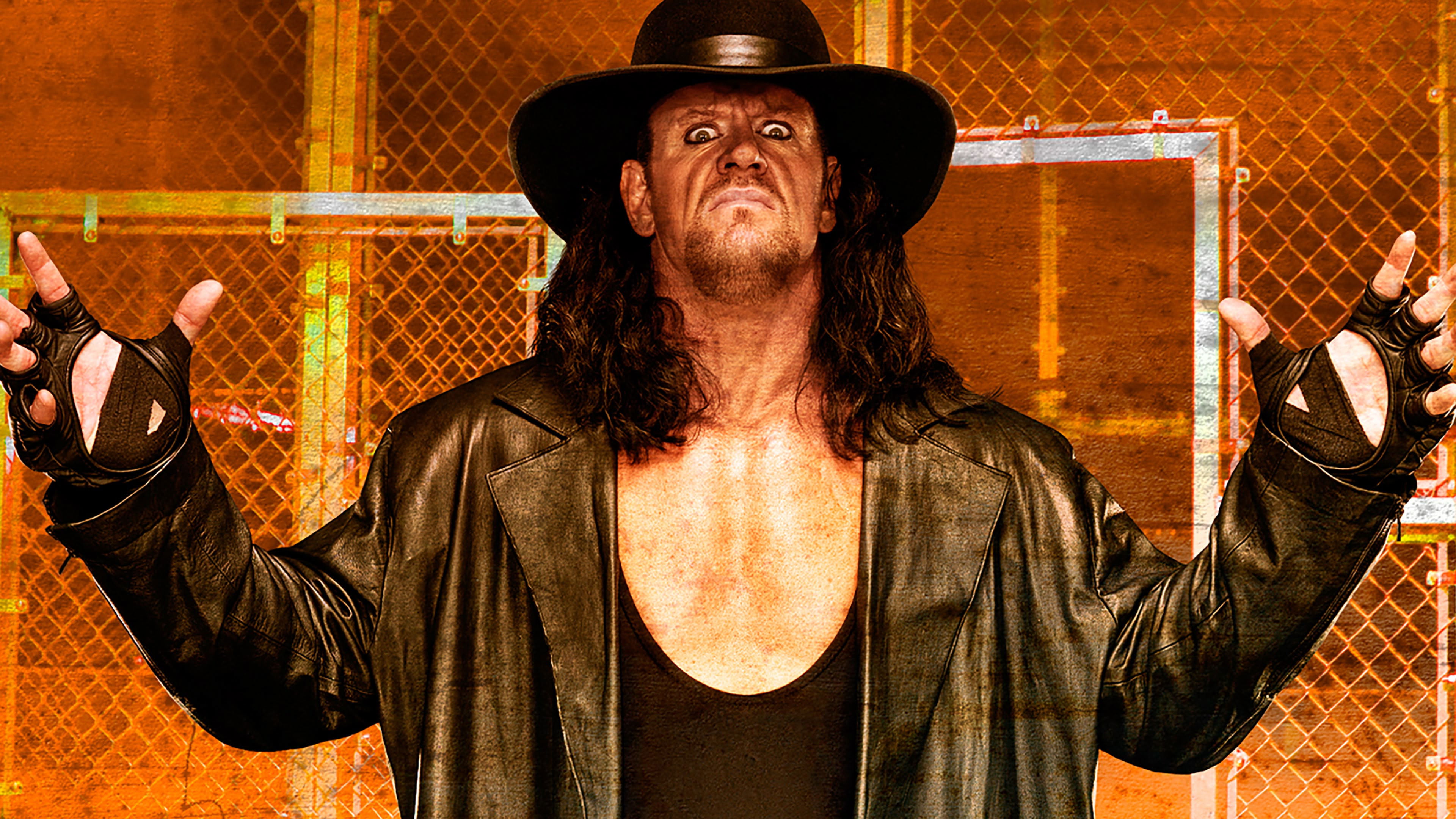 WWE Hell in a Cell 2009 Background