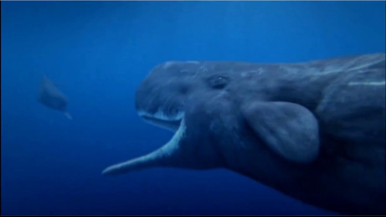 Ocean Odyssey Background