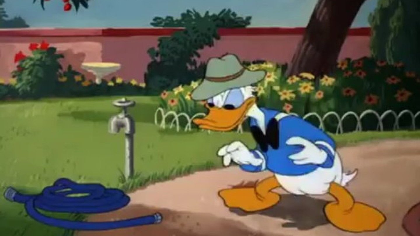 The Greener Yard Background