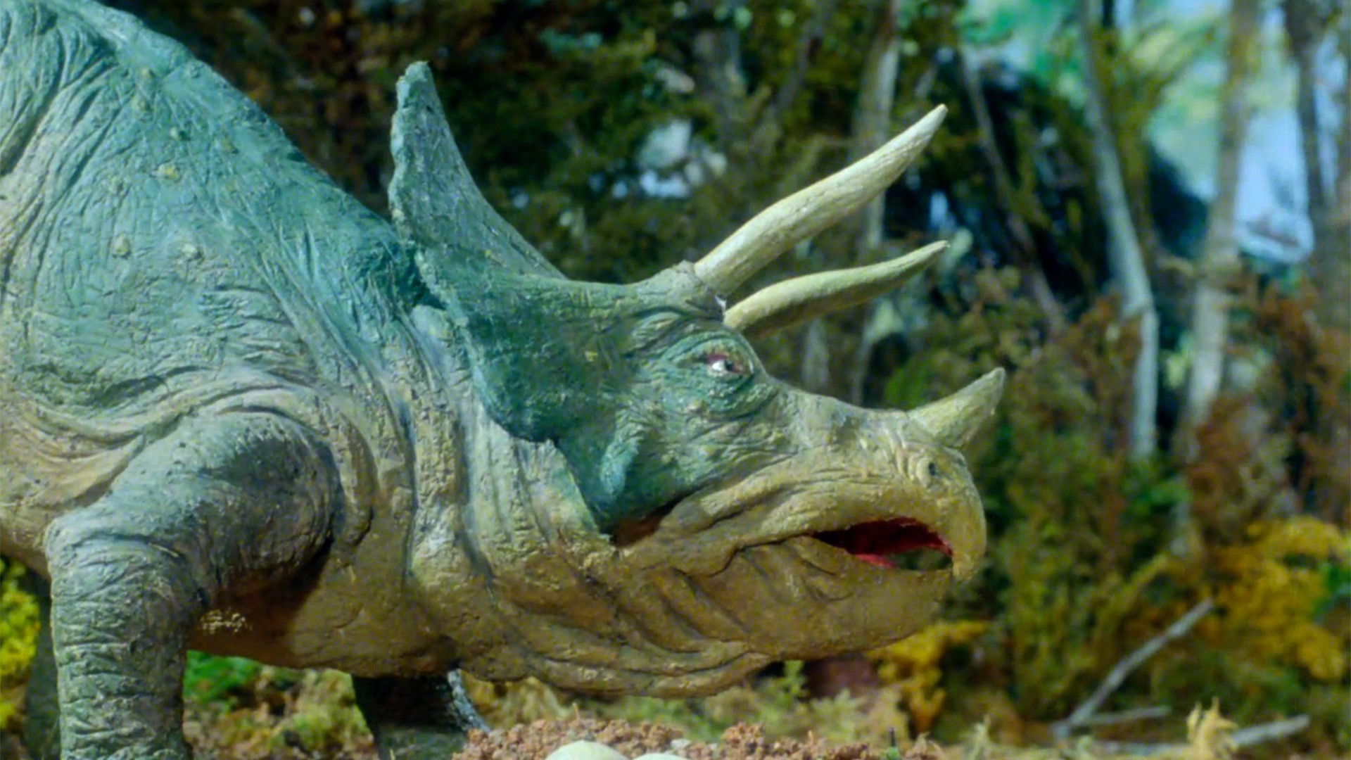 64,000,000 Years Ago Background