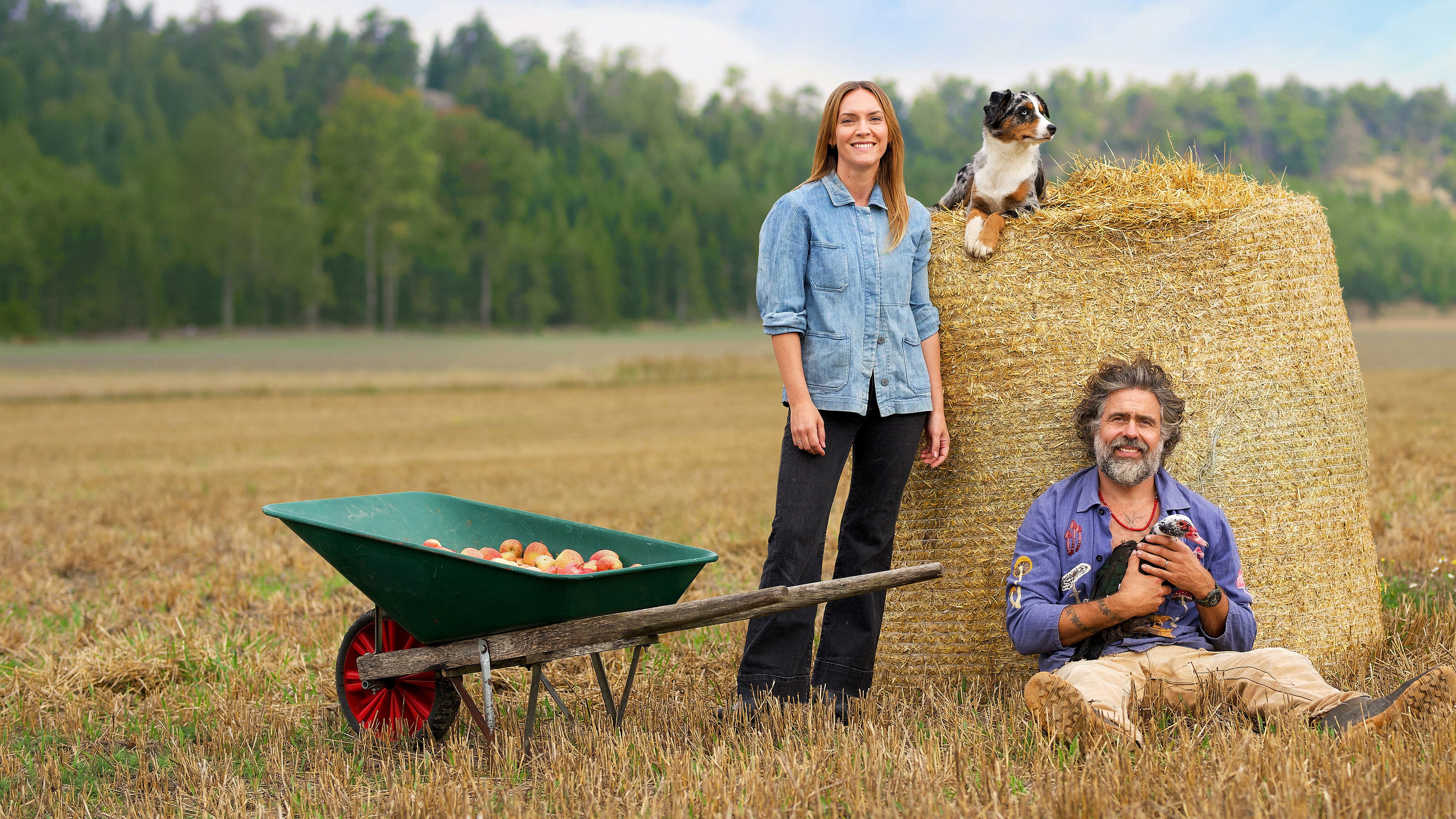 Hjälp, vi har köpt en bondgård! Background