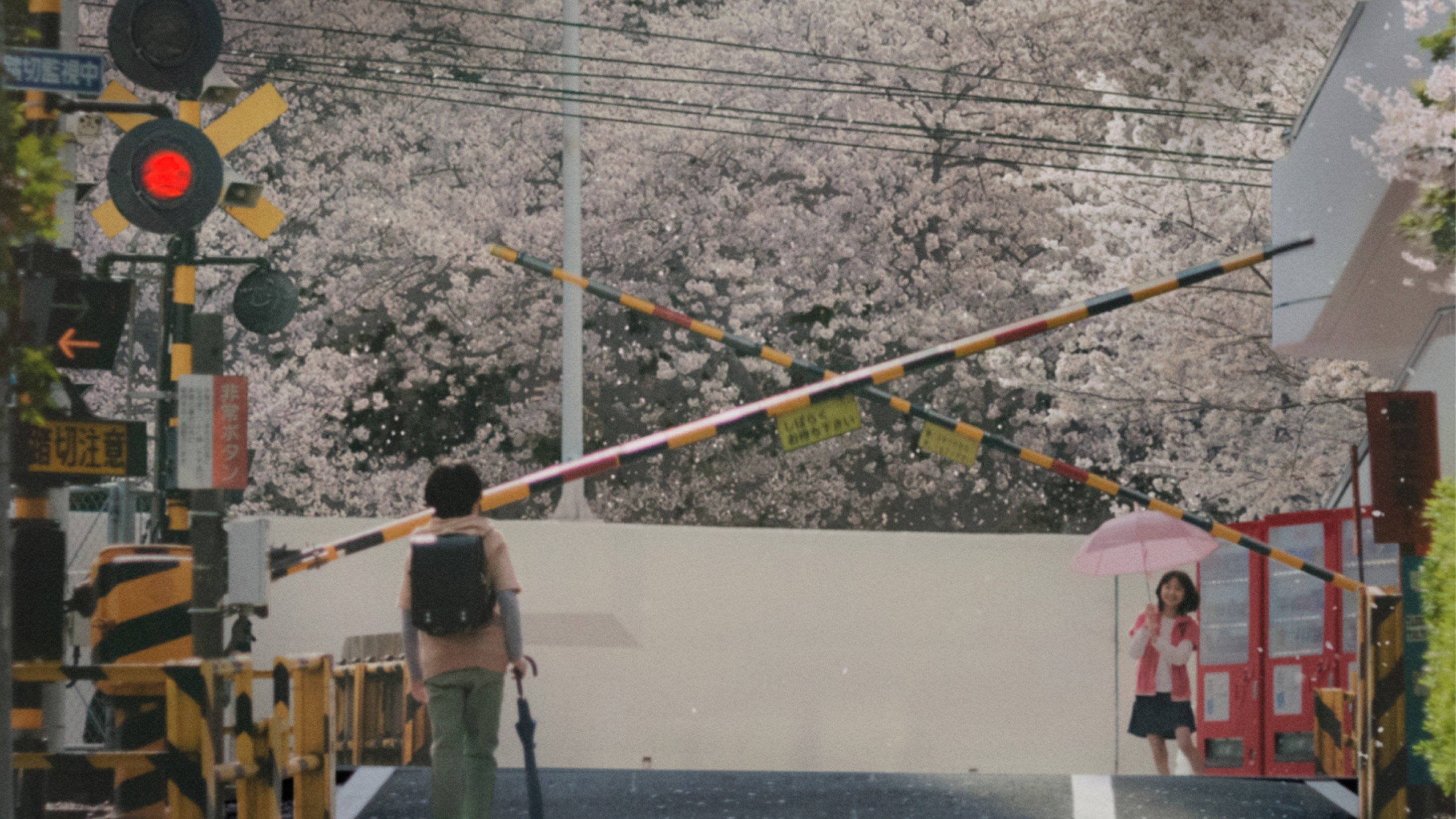 5 Centimeters per Second Background