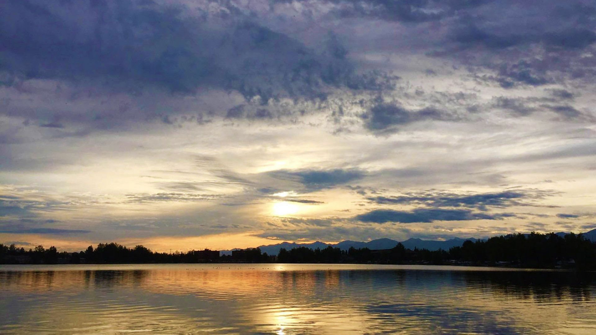 Wild Alaska Live Background