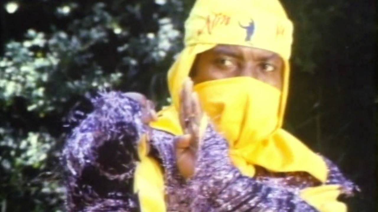 Ninja Operation - Knight and Warrior Background